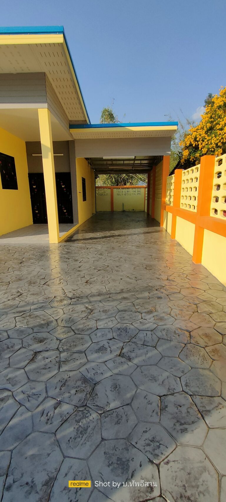 ลายแล้นด้อม บ.ท่าค้อ จ.ยโสธร รหัสสี DD3 แกมดำ